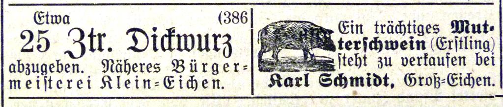 Klein-Eichen