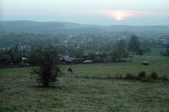 Klein-Eichen