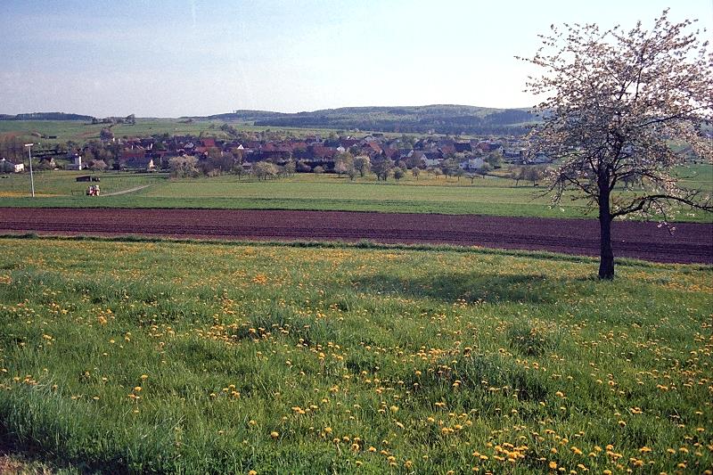 Klein-Eichen