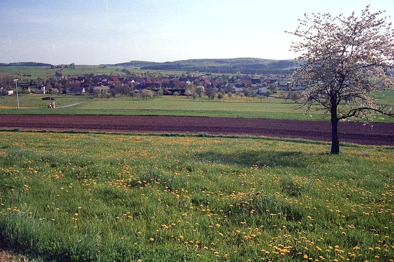 Klein-Eichen