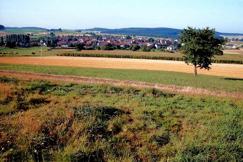 Klein-Eichen