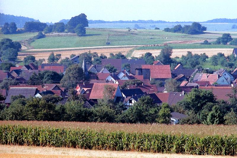 Klein-Eichen