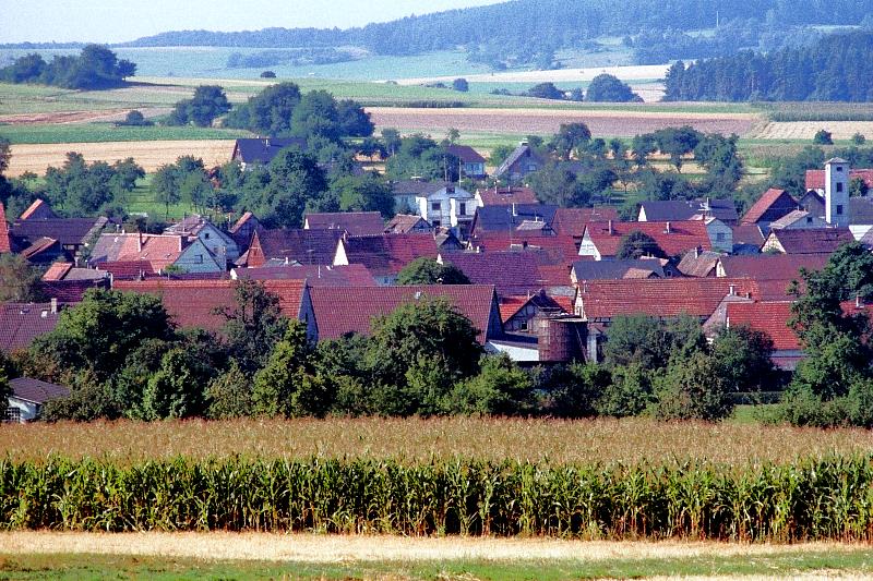Klein-Eichen