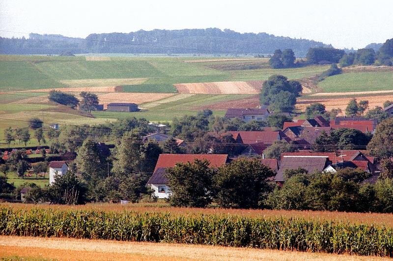 Klein-Eichen