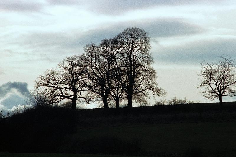 Lardenbach