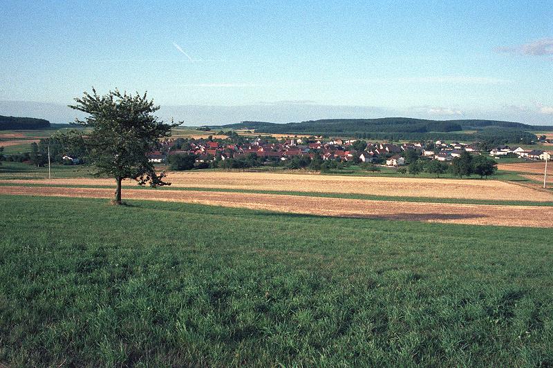 Klein-Eichen