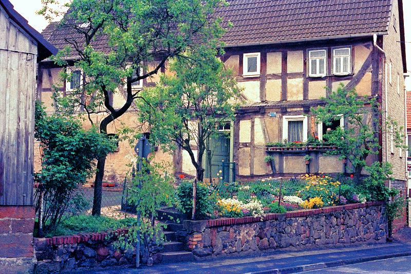 Klein-Eichen