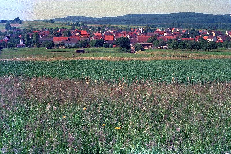 Klein-Eichen