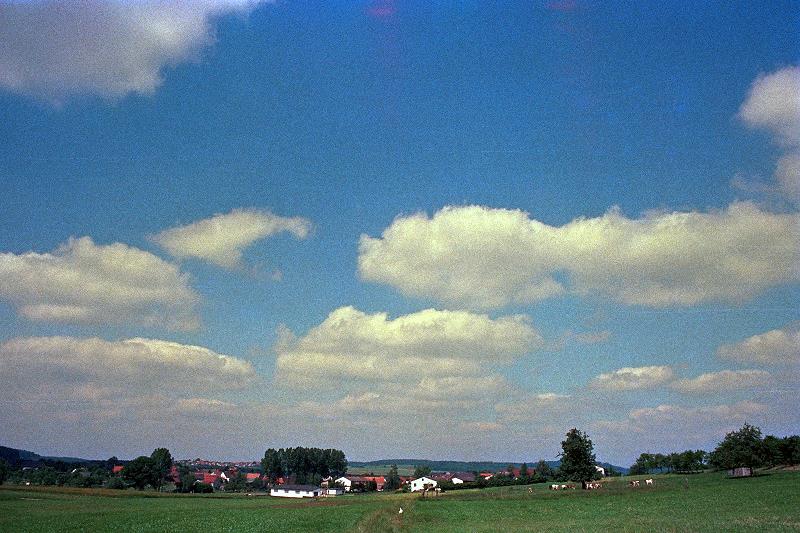Klein-Eichen