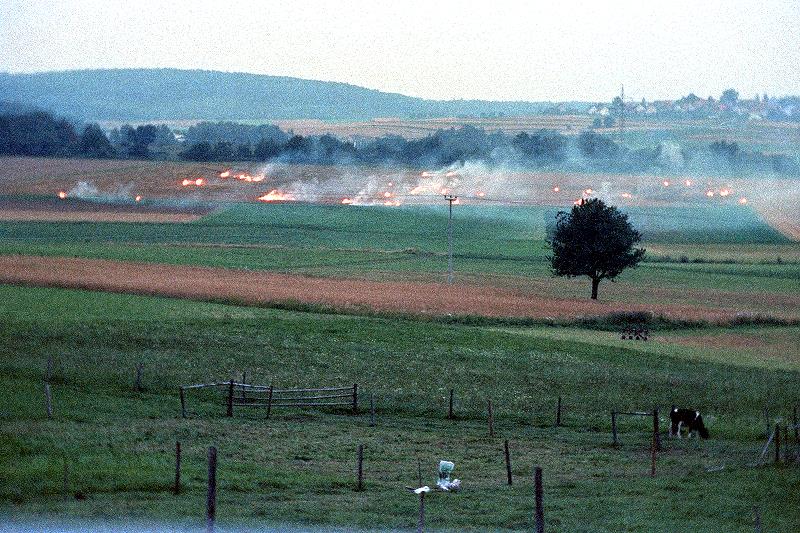 Klein-Eichen