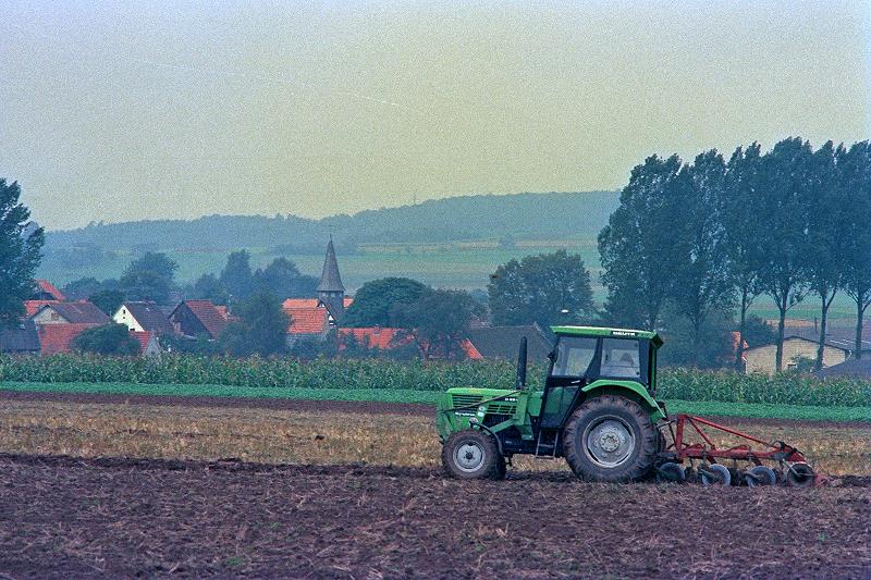 Klein-Eichen