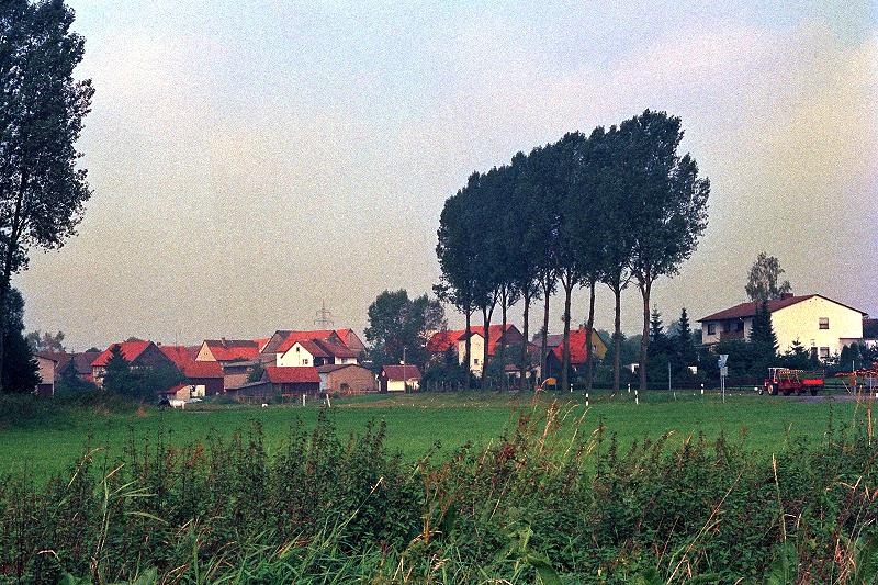Klein-Eichen
