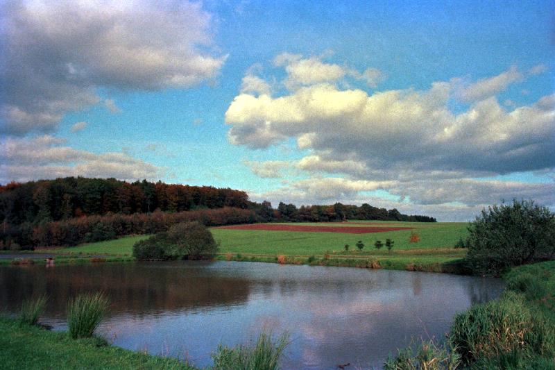 Klein-Eichen