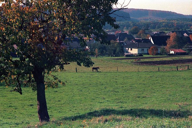 Klein-Eichen