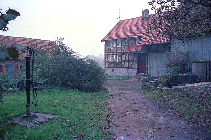 Klein-Eichen