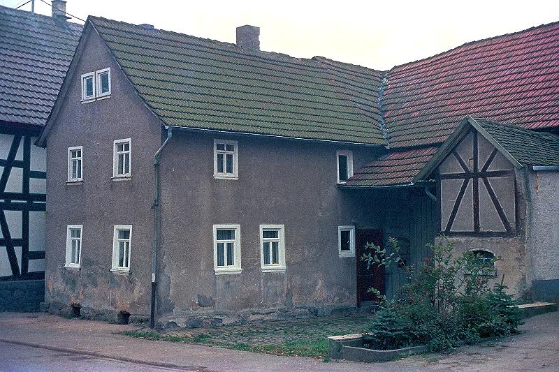 Klein-Eichen