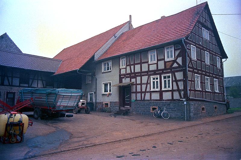 Klein-Eichen
