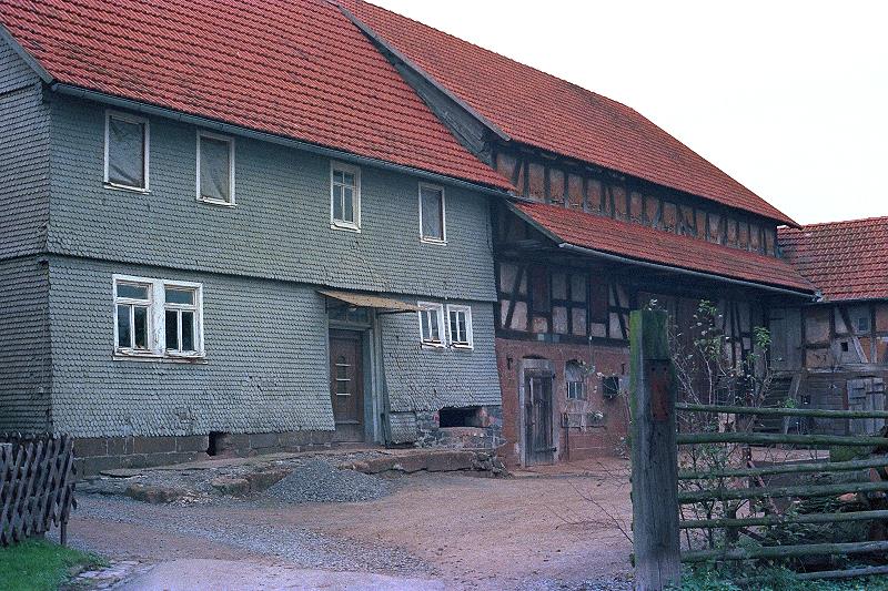Klein-Eichen
