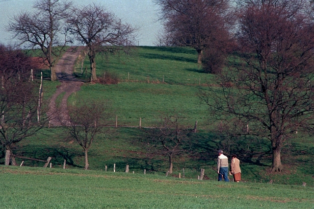 Klein-Eichen