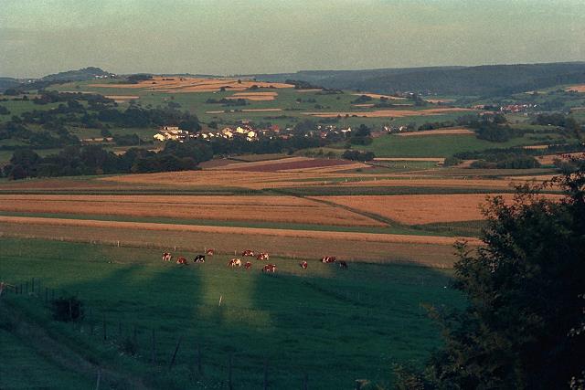 Vogelsberg