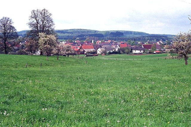 Klein-Eichen