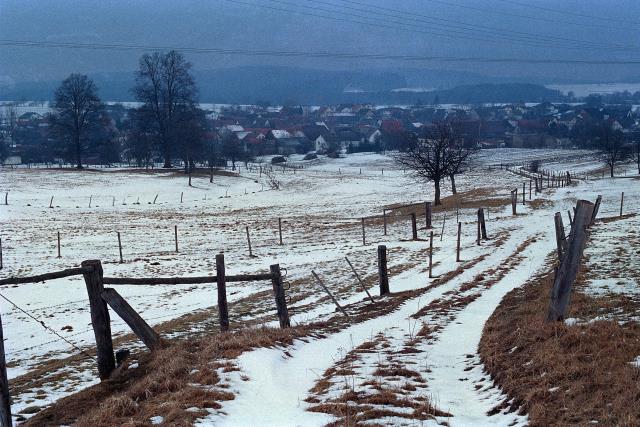 Klein-Eichen