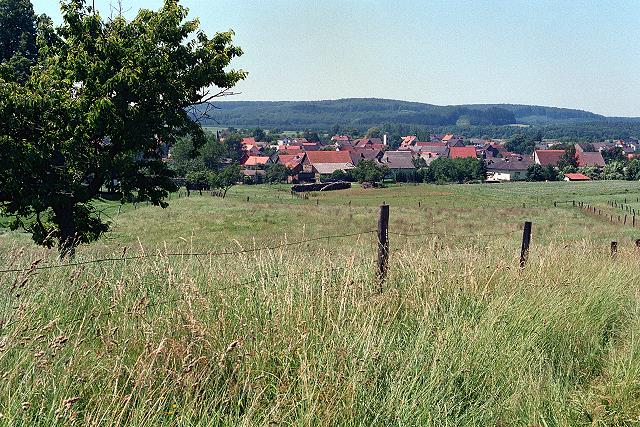 Klein-Eichen