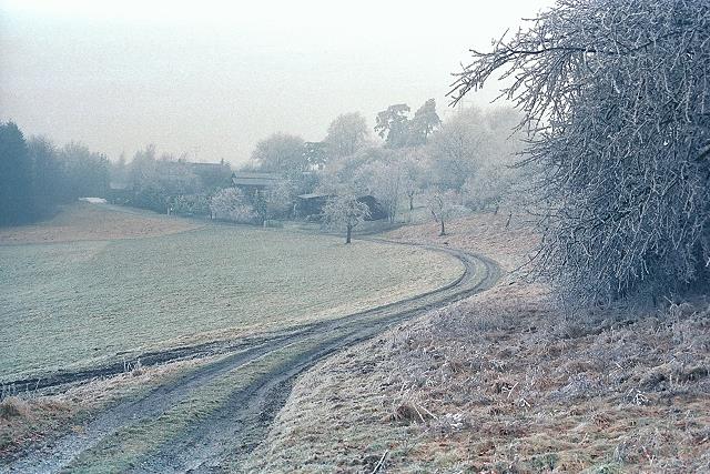 Klein-Eichen