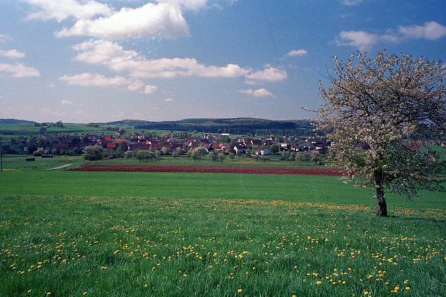 Klein-Eichen