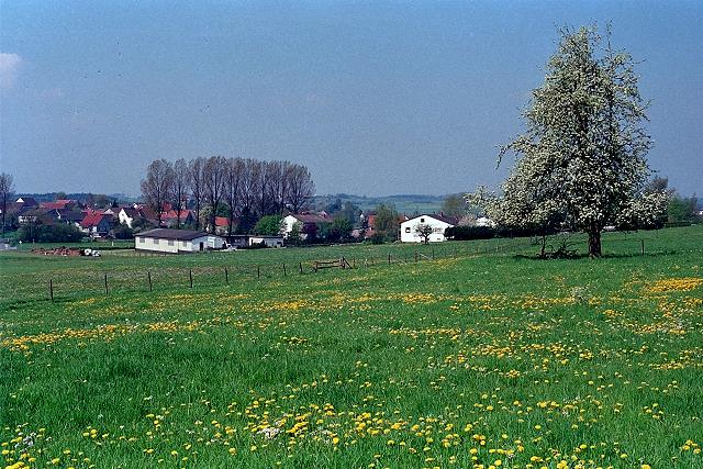 Klein-Eichen