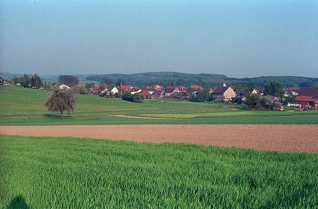 Klein-Eichen