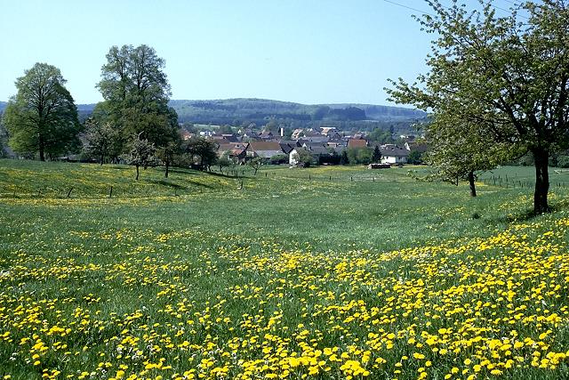Klein-Eichen