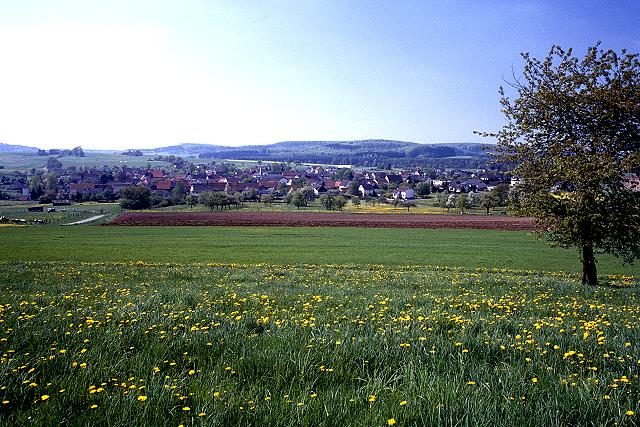 Klein-Eichen