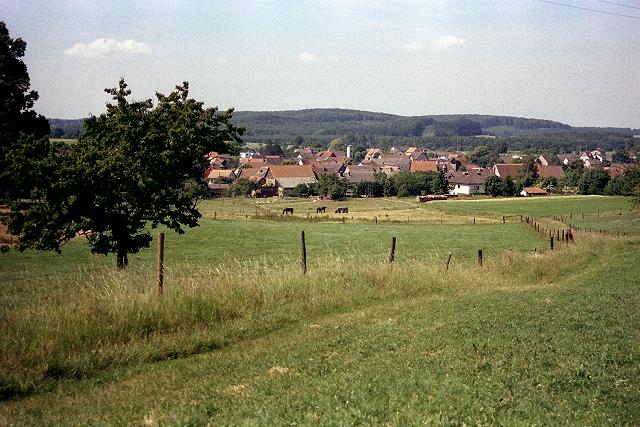 Klein-Eichen