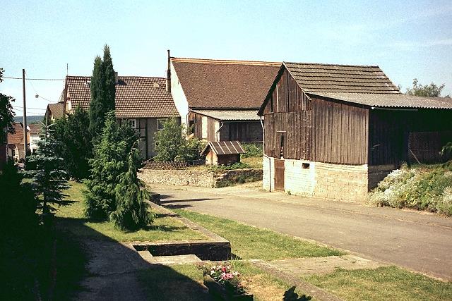 Klein-Eichen