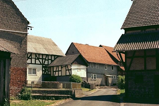 Klein-Eichen