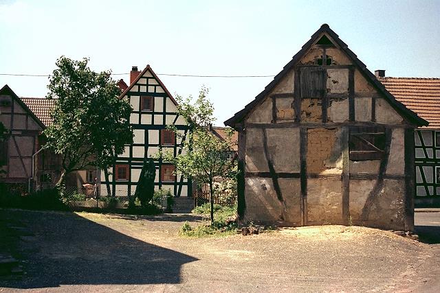 Klein-Eichen