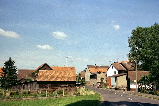 Klein-Eichen