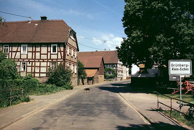 Klein-Eichen