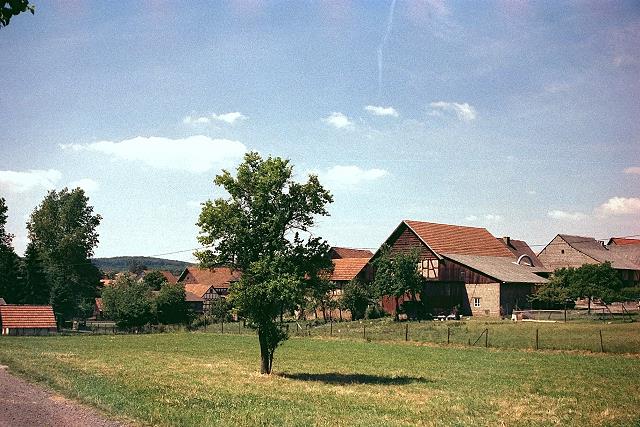 Klein-Eichen