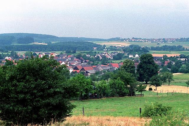 Klein-Eichen