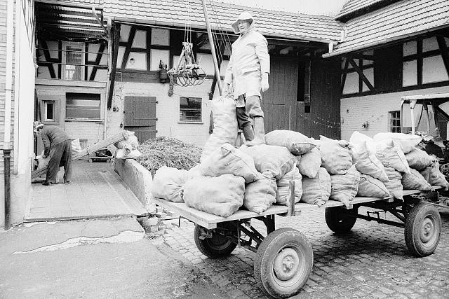 Klein-Eichen