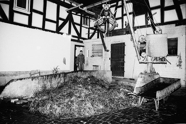 Klein-Eichen