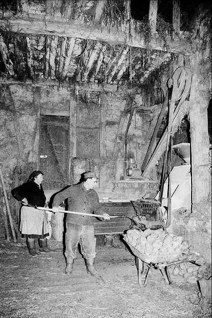Klein-Eichen