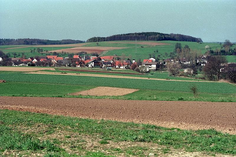 Klein-Eichen