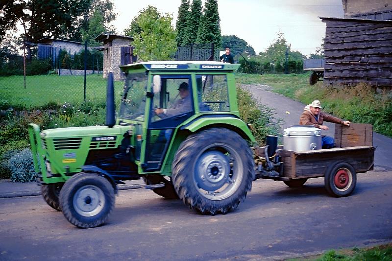Klein_Eichen