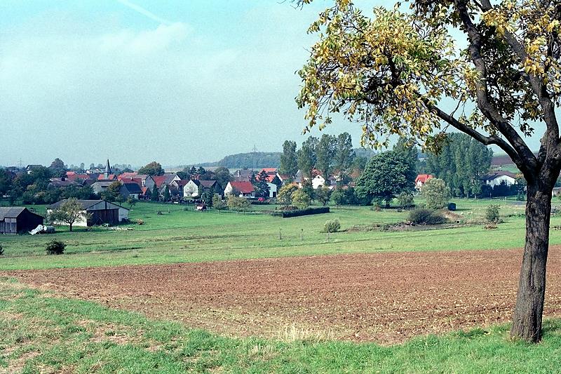 Klein_Eichen