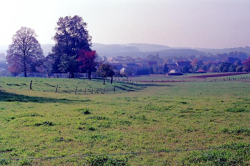Klein-Eichen