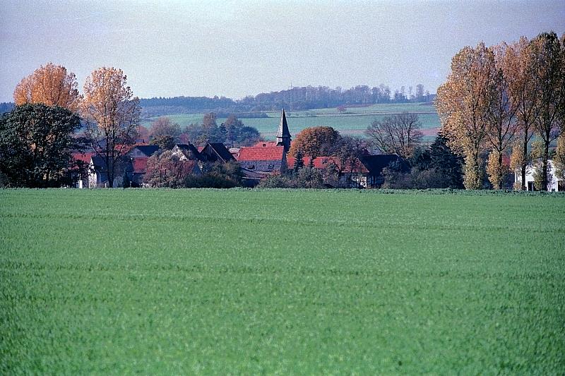 Klein-Eichen