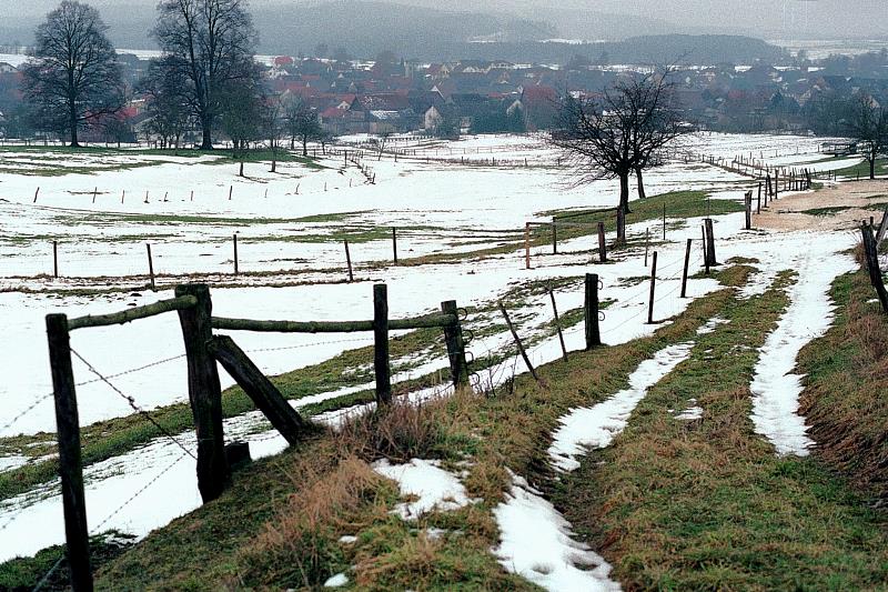 Klein-Eichen